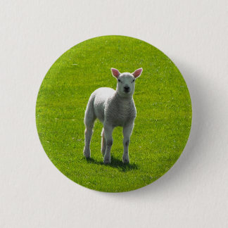 Little Lamb 6 Cm Round Badge