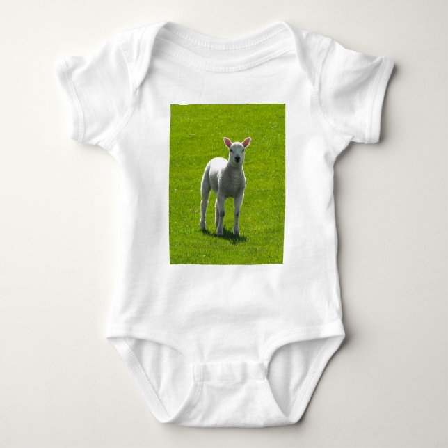 Little Lamb Baby Bodysuit (Front)