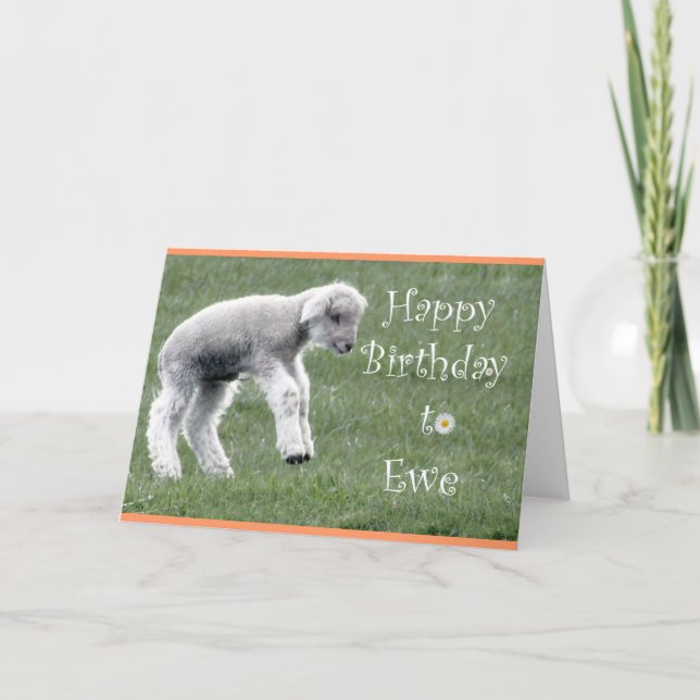 Little Lamb Birthday Card (Front)