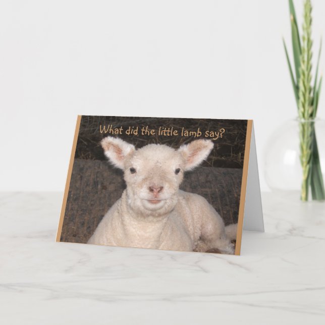 Little Lamb Birthday Card (Front)