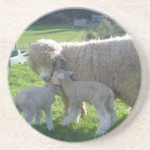 LITTLE LAMB COASTER