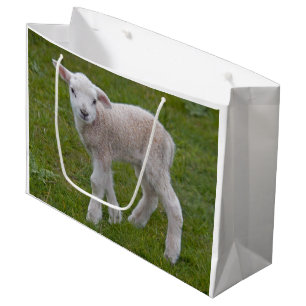 Little Lamb Gift Bag