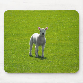 Little Lamb Mouse Mat