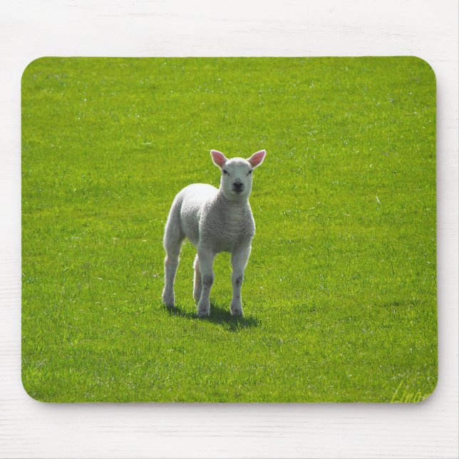 Little Lamb Mouse Mat (Front)