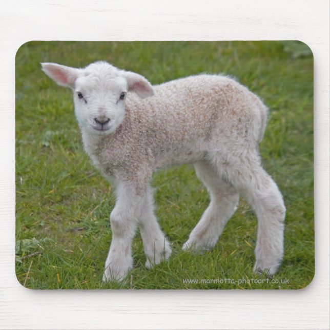 Little Lamb Mousemat (Front)