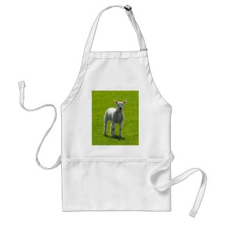 Little Lamb Standard Apron