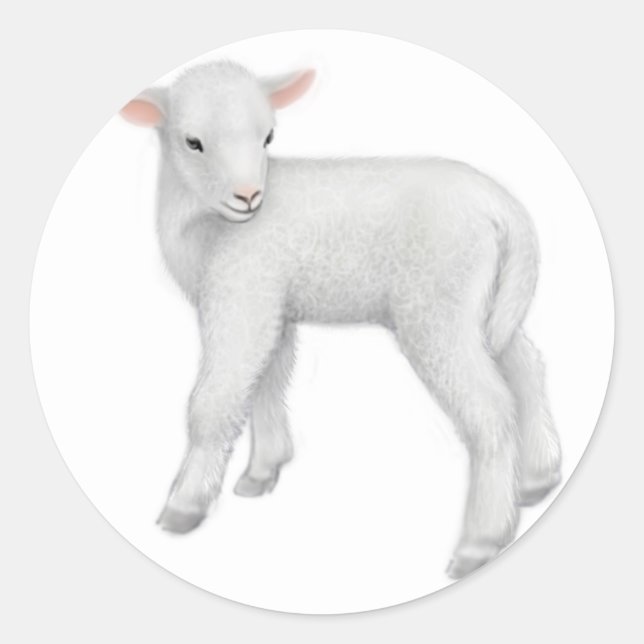 Little Lamb Sticker (Front)
