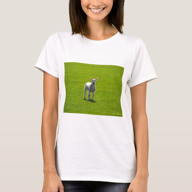 Little Lamb T-Shirt (Front)