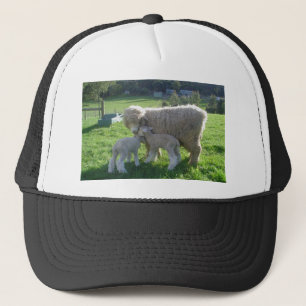 LITTLE LAMB TRUCKER HAT