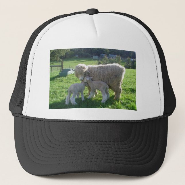 LITTLE LAMB TRUCKER HAT (Front)