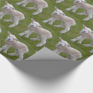 Little Lamb Wrapping Paper