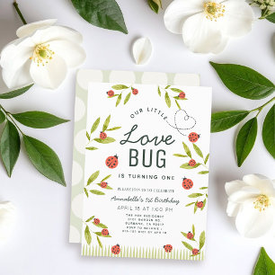 Little Love Bug Ladybug Girl 1st Birthday Invitati Invitation