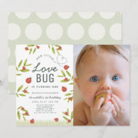 Little Love Bug Ladybug Girl Photo 1st Birthday In