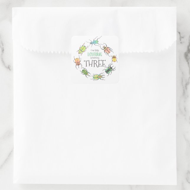 Little Lovebug Birthday Party Square Sticker (Bag)