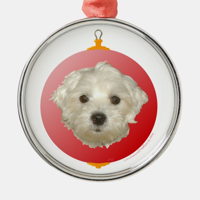 Little Maltese Christmas Ornament (Front)