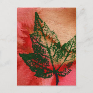 "Little Maple" Country Roads Postcard