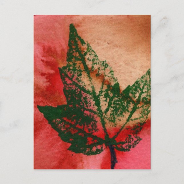 "Little Maple" Country Roads Postcard (Front)