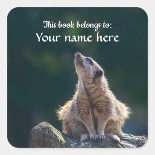 Little Meerkat "This book belongs to" sticker