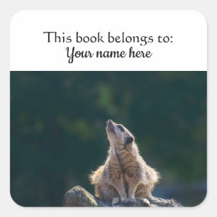 Little Meerkat "This book belongs to" sticker