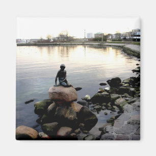 little mermaid magnet