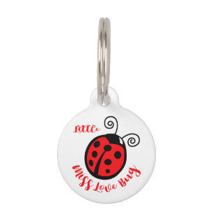 Little Miss Love Bug Pet Tag