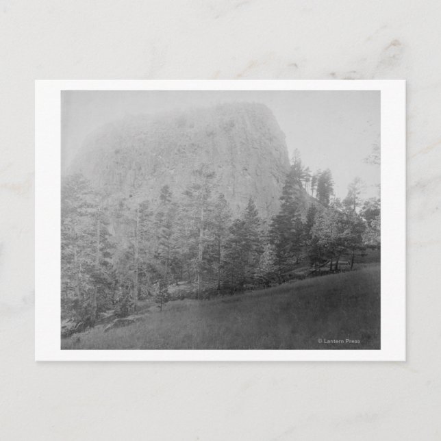 Little Missouri Butte Beyod Field and Trees Postcard (Front)