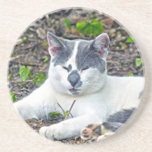 Little Mister Pants Coaster