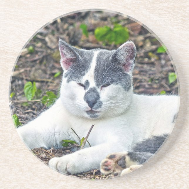 Little Mister Pants Coaster (Front)