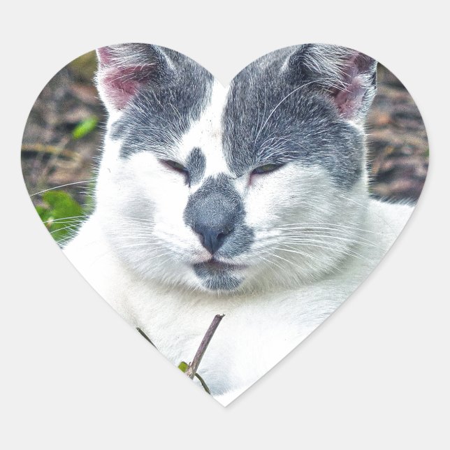 Little Mister Pants Heart Sticker (Front)