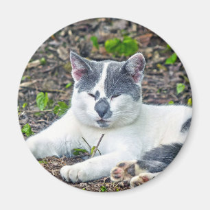 Little Mister Pants Magnet