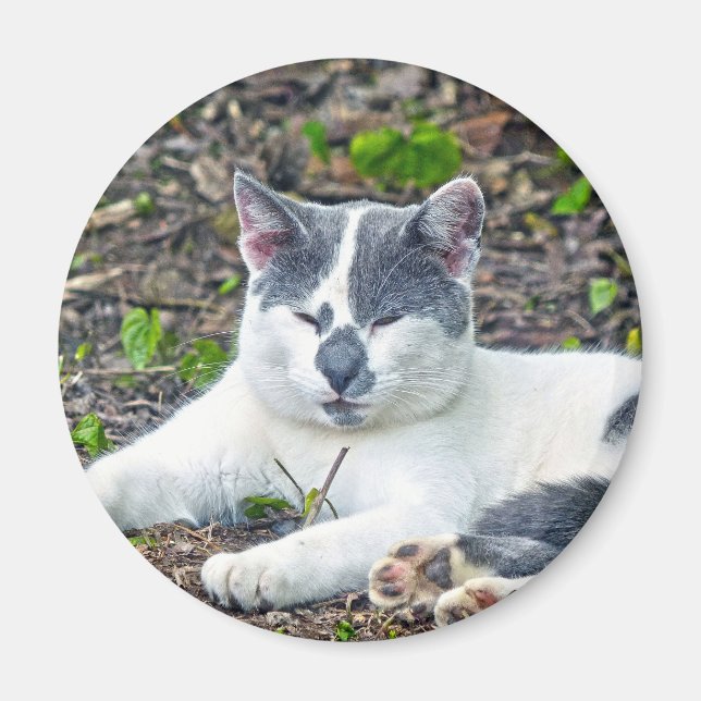 Little Mister Pants Magnet (Front)