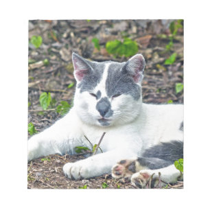 Little Mister Pants Notepad