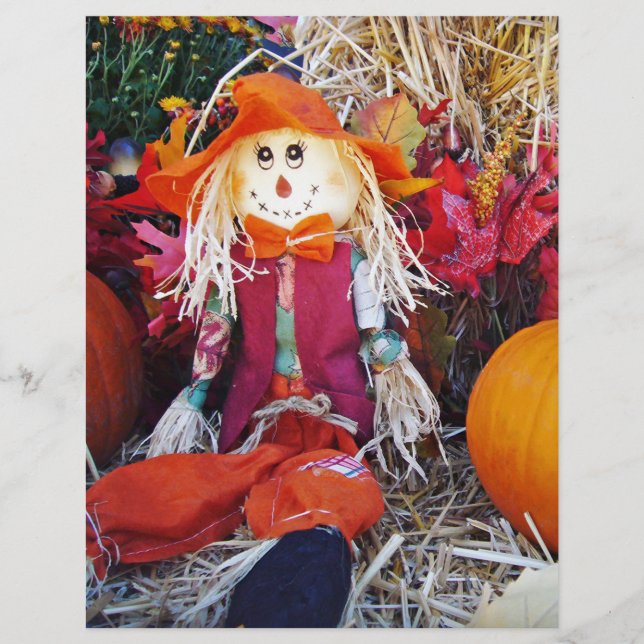 Little Mister Scarecrow (Front)