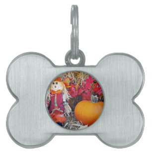 Little Mister Scarecrow Pet Name Tag