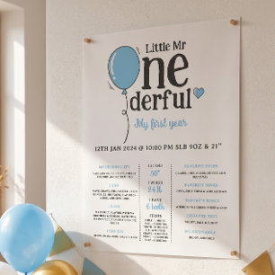 Little Mr Onederful First Bday Milestone Poster