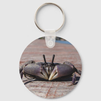 Little Mud Crab Key Ring