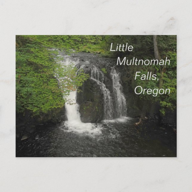 Little Multnomah Falls Oregon Photo  Postcard (Front)