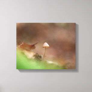 Little Mushroom Nature Photo Canvas Print