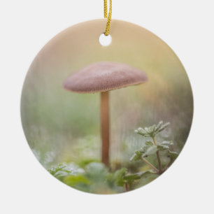 Little Mushroom nature photo Ceramic Tree Decoration