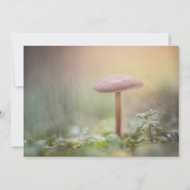 Little Mushroom Photo Card (Front)