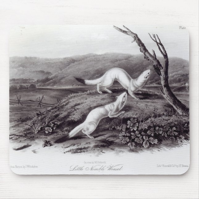 Little Nimble Weasel Mouse Mat (Front)