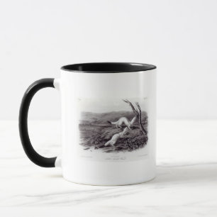 Little Nimble Weasel Mug