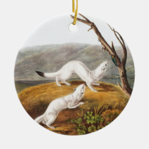 Little Nimble Weasel Putorius agilis Illustration Ceramic Tree Decoration