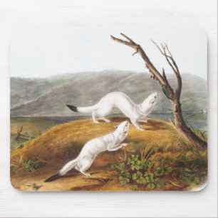 Little Nimble Weasel Putorius agilis Illustration Mouse Mat