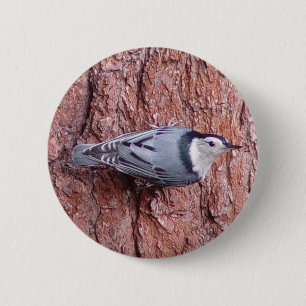 Little Nuthatch Bird Button