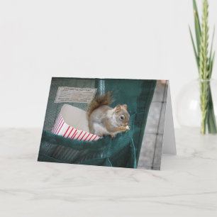 Little Opportunist Greeting Card