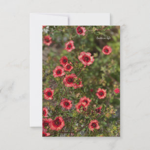 Little Orange Flowers Card