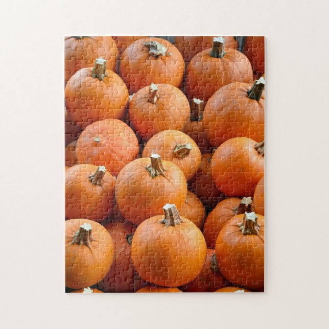 Little orange pumpkins display puzzle (Vertical)