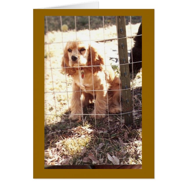 little outlaw (Front)