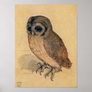 Little Owl, 1508 by Albrecht Durer Poster
